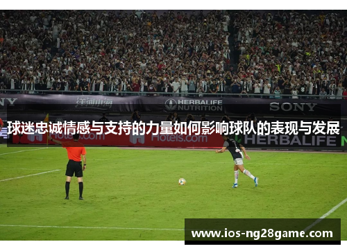 球迷忠诚情感与支持的力量如何影响球队的表现与发展 球迷忠诚情感与支持的力量如何影响球队的表现与发展