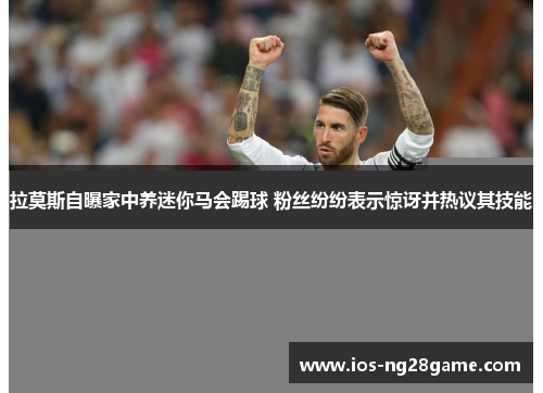 拉莫斯自曝家中养迷你马会踢球 粉丝纷纷表示惊讶并热议其技能 拉莫斯自曝家中养迷你马会踢球 粉丝纷纷表示惊讶并热议其技能
