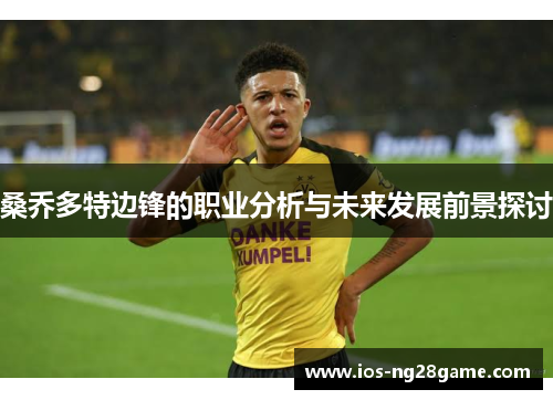 桑乔多特边锋的职业分析与未来发展前景探讨