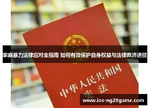 家庭暴力法律应对全指南 如何有效保护自身权益与法律救济途径