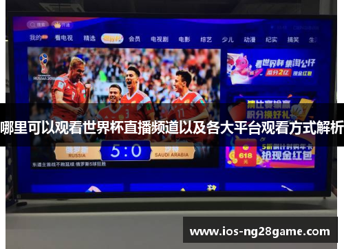 哪里可以观看世界杯直播频道以及各大平台观看方式解析