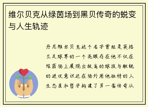 维尔贝克从绿茵场到黑贝传奇的蜕变与人生轨迹