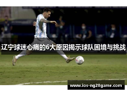 辽宁球迷心痛的6大原因揭示球队困境与挑战